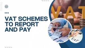 VAT Accounting Schemes to Report and Pay